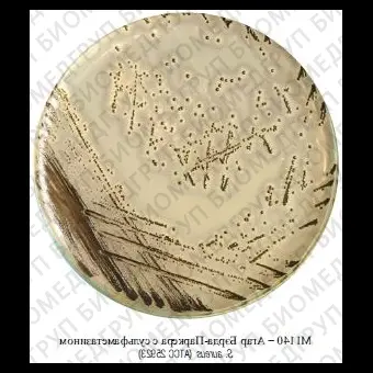 Основа агара БэрдаПаркера с сульфаметазином 500 г ФСЗ 2009/03709