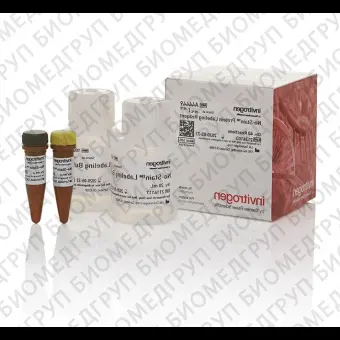 Реагент NoStain Protein Labeling Reagent, 40 реакций, Thermo FS, A44449