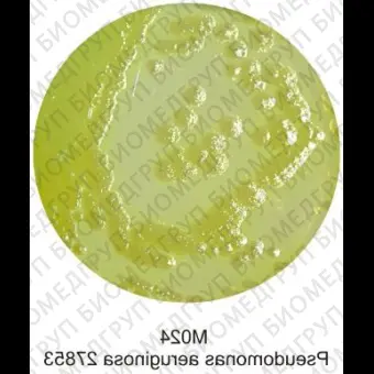Основа агара с цетримидом, 500 г ФСЗ 2009/03709