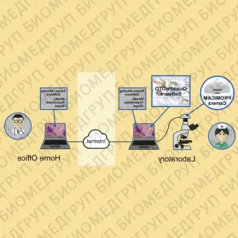 Медицинское программное обеспечение Telemicroscopy