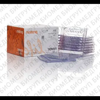 Гель полиакриламидный Bolt BisTris Mini Protein Gel, 8 х 8 см, 15 лунок, 10, Thermo FS, NW00105BOX, 10 шт./уп.