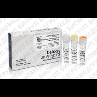 ДНКполимераза AmpliTaq Gold DNA Polymerase LD Low DNA with Gold Buffer and MgCl2, Thermo FS, 4338857, 1000 единиц