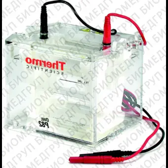 Электрофорезная вертикальная камера Owl P82 DualGel, 810х10 см, 2 геля, Thermo FS, P82