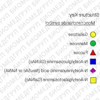 AdvanceBio InstantQ G2S2 2,6/A2G2S62 Nгликан ди2,6сиалилированный галактозилированный двухантенный комплекс Nгликан InstantQ A2 ранее Prozyme. Nгликан, меченный InstantQ для использования в качестве качественного стандарта с системой ана