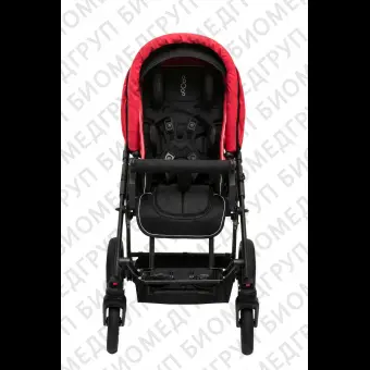 Коляска для детейинвалидов BAFFIN Buggy