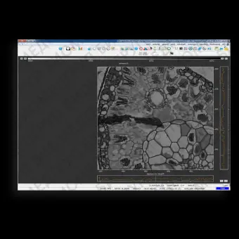 Программное обеспечение для цифровых микроскопов Solis I