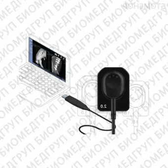 EzSensor Vet 1.0 цифровой радиовизиограф для ветеринарии