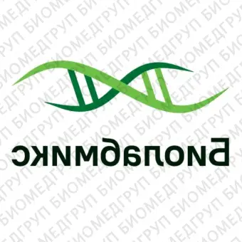 Мастермикс БиоМастер LR HSПЦРColor 2x для амплификации длинных фрагментов ДНК до 30 кб и сложных фрагментов ДНК400 реакций