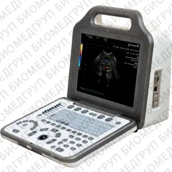 Переносной ветеринарный ультразвуковой сканер SV6