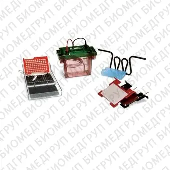 Система мокрого блоттинга Criterion Blotter, плоские электроды, площадь 150х94 мм, с камерой и крышкой, BioRad, 1704070