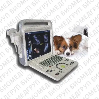 Переносной ветеринарный ультразвуковой сканер XF3600V
