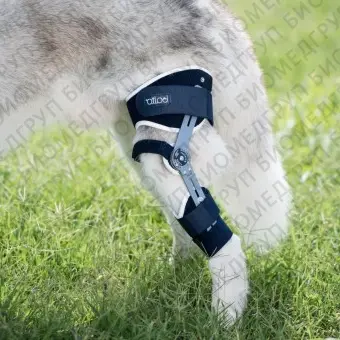 Ветеринарное ортопедическое приспособление для собак BALTO LIGATEK