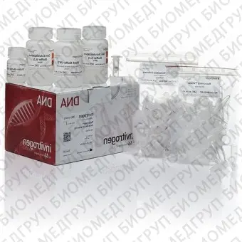 Набор PureLink Quick Gel Extraction Kit, Thermo FS, K210025, 250 выделений