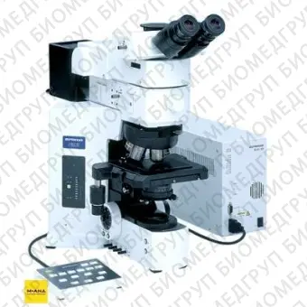Микроскоп BX61, прямой исследовательский, Olympus, BX61