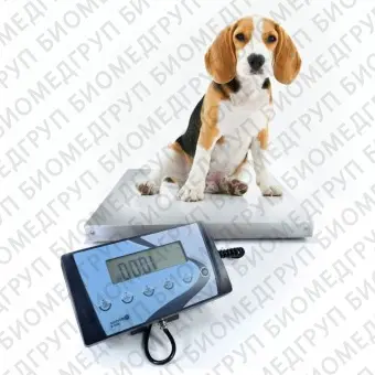 Электронный ветеринарные весы AIS