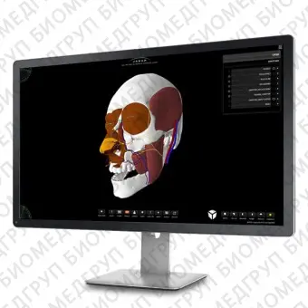 Анатомическое программное обеспечение 3D Nasal Vista 2.0 Basic