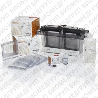 Электрофорезная вертикальная камера Mini Gel Tank Blot Welcome Pack A, 8х8 см, 2 геля, с набором реагентов, Thermo FS, NW0412A