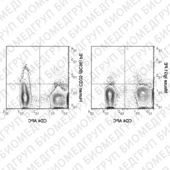 Антитела к рецептору IL2 альфа CD25, конъюгированные с  PE, мышиные моноклональные клон BC96, Abcam, ab134476, 50 тестов