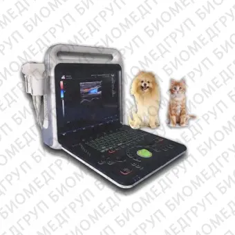 Переносной ветеринарный ультразвуковой сканер XF3800V