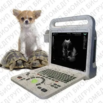 Переносной ветеринарный ультразвуковой сканер XF3600V