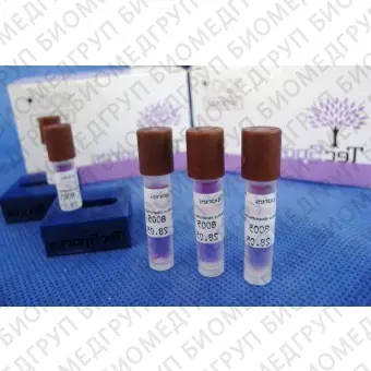 Биодиндикатор для стерилизации BISC5