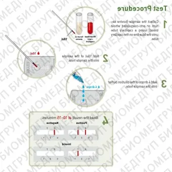 Экспресстест на инфекционные заболевания RIDX Bovine Brucella Ab Kit LGMBBB11