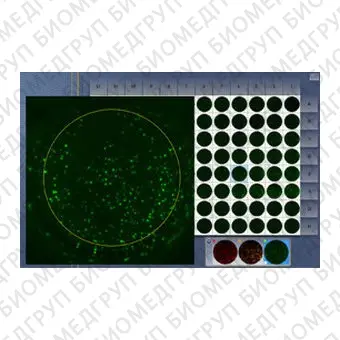 Флуоресцентное считывающее устройство с микропластинок ISPOT