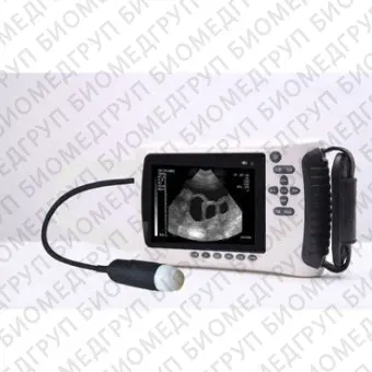Портативный ветеринарный ультразвуковой сканер PL2018V