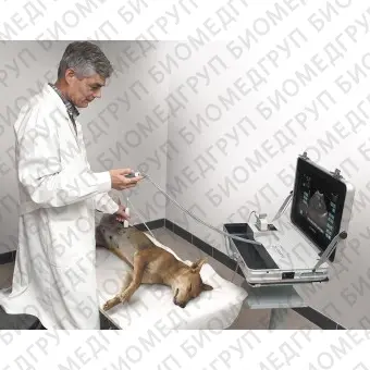 Переносной ветеринарный ультразвуковой сканер EPIDOT SC