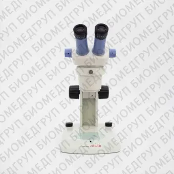 Оптический стереомикроскоп Ladybird MZ1240