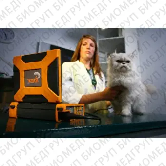 Переносной ветеринарный ультразвуковой сканер Ibex Pro