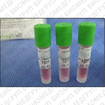 Биодиндикатор для стерилизации BISC5