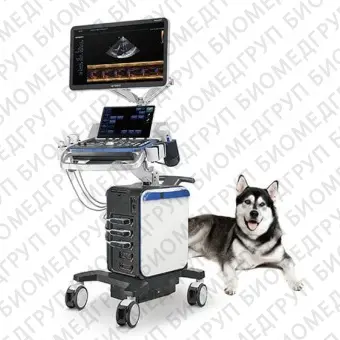 Ветеринарный ультразвуковой сканер на платформе Vetus 8