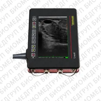 Переносной ветеринарный ультразвуковой сканер iScan 2
