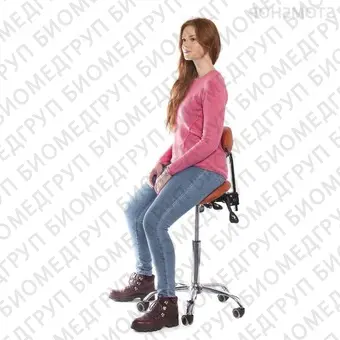 SmartStool S03B  эргономичный классический стулседло со спинкой