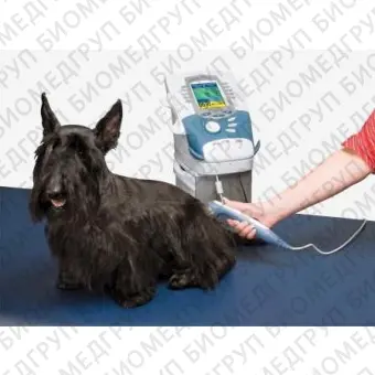 Ветеринарная лазерная фотостимуляция INTELECT VET