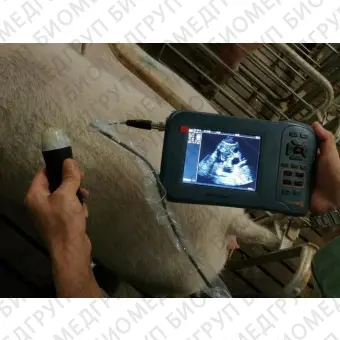 Портативный ветеринарный ультразвуковой сканер DP20 Plus