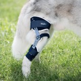 Ветеринарное ортопедическое приспособление для собак BALTO® LIGATEK