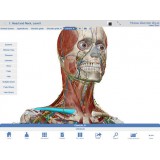 Анатомическое приложение iOS Human Anatomy Atlas
