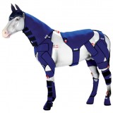 Ветеринарное ортопедическое приспособление для лошади