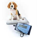 Электронный ветеринарные весы AIS