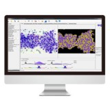 Программное обеспечение клеточной визуализации AmCAD-CA