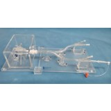 Медицинский симулятор для сосудистой хирургии LAAC-01