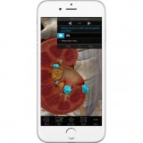 Анатомическое приложение iOS Physiology & Pathology