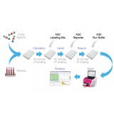 Панель для профилирования ми-РНК, Multiplex miRNA Assay Oncology Panel - Circulating, Abcam, ab203185, 96 тестов