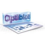 Гель полиакриламидный готовый, Optiblot SDS Gel 4-8% (8x10 см), 17 лунок, Abcam, ab139608, 10 шт/уп