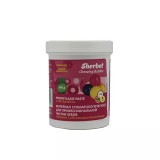 Sherbet Prophylaxis Paste, вкус жевательная резинка, зернистость средняя, 340 г