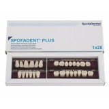 Spofadent Plus (D2) 1/27-0/11-1/62