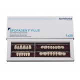 Spofadent Plus (А2) 1/22-0/0-1/72