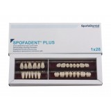 Spofadent Plus (А2) 1/48-0/6-1/72